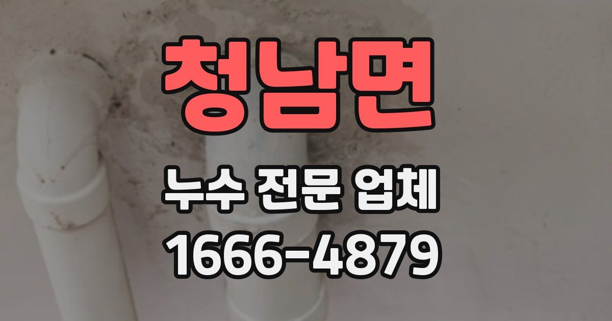 청남면 누수 전문 업체