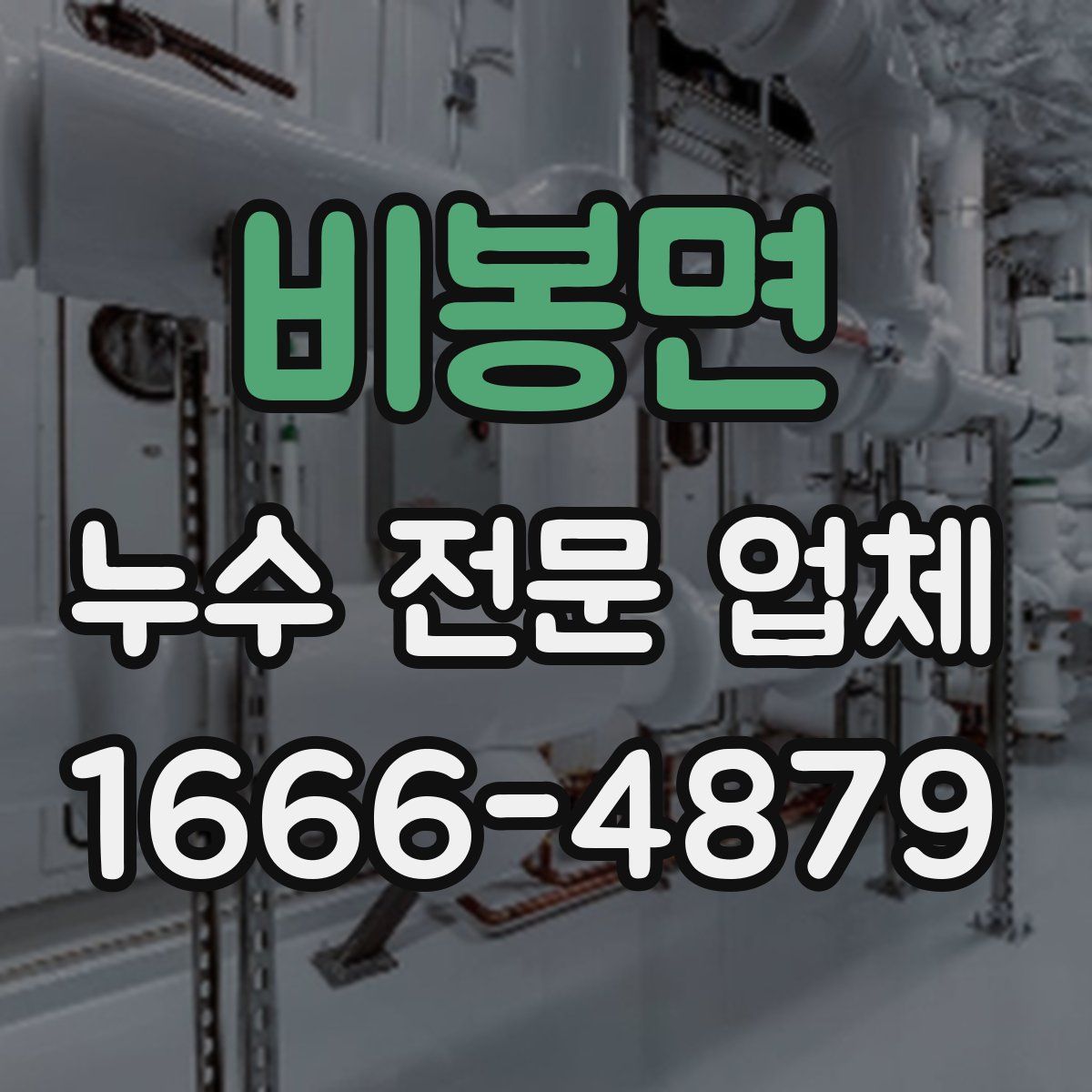 비봉면 누수 전문 업체