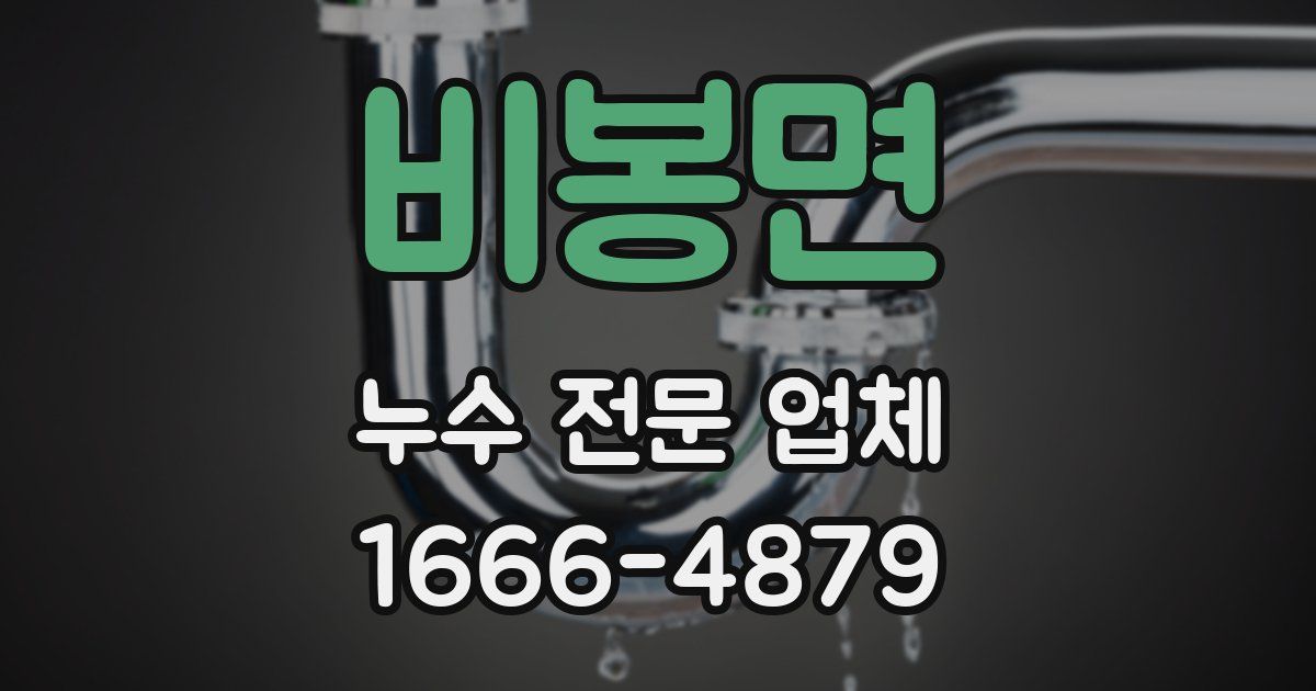 비봉면 누수 전문 업체