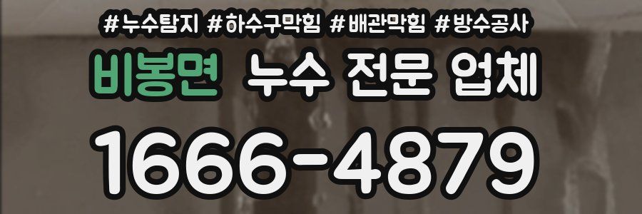 비봉면 누수 전문 업체