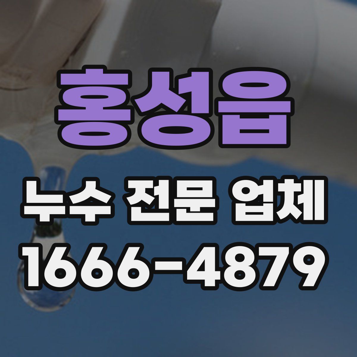 홍성읍 누수 전문 업체