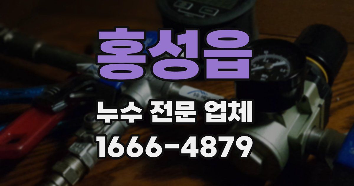 홍성읍 누수 전문 업체