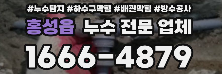 홍성읍 누수 전문 업체