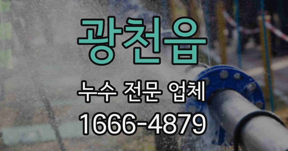 광천읍 누수 전문 업체