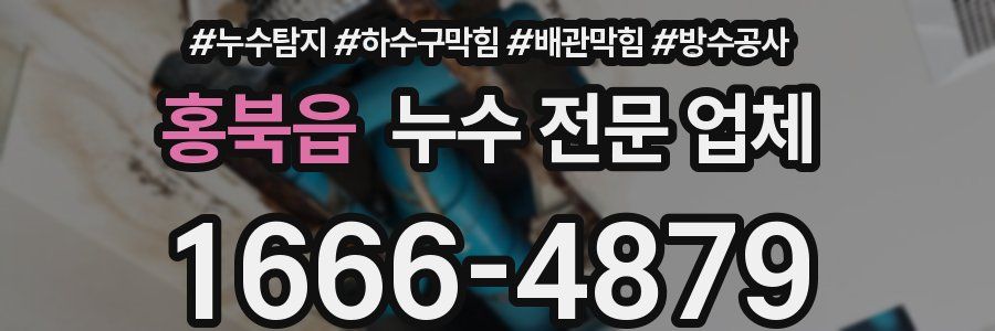 홍북읍 누수 전문 업체