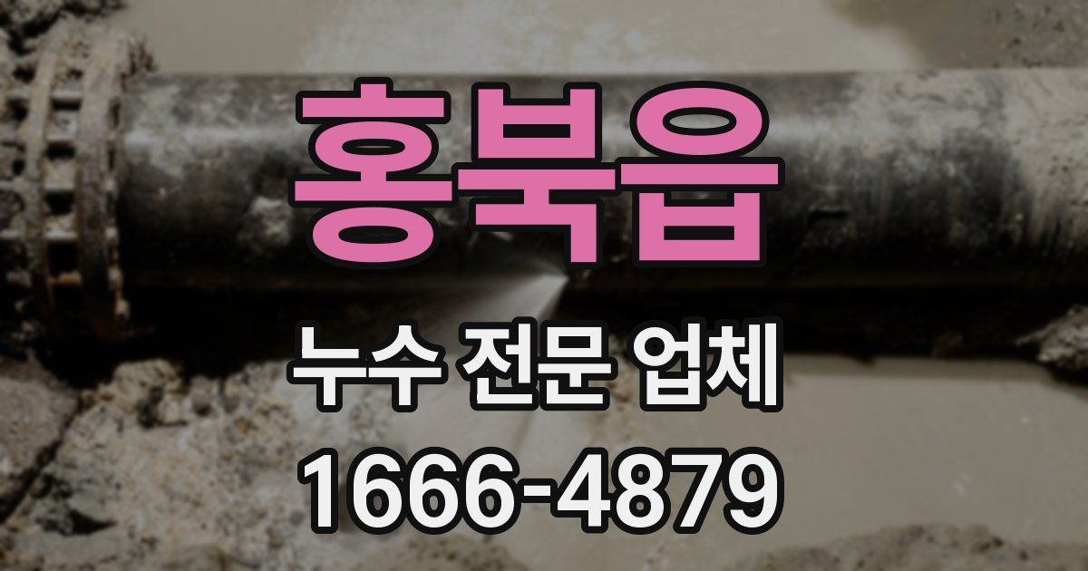 홍북읍 누수 전문 업체