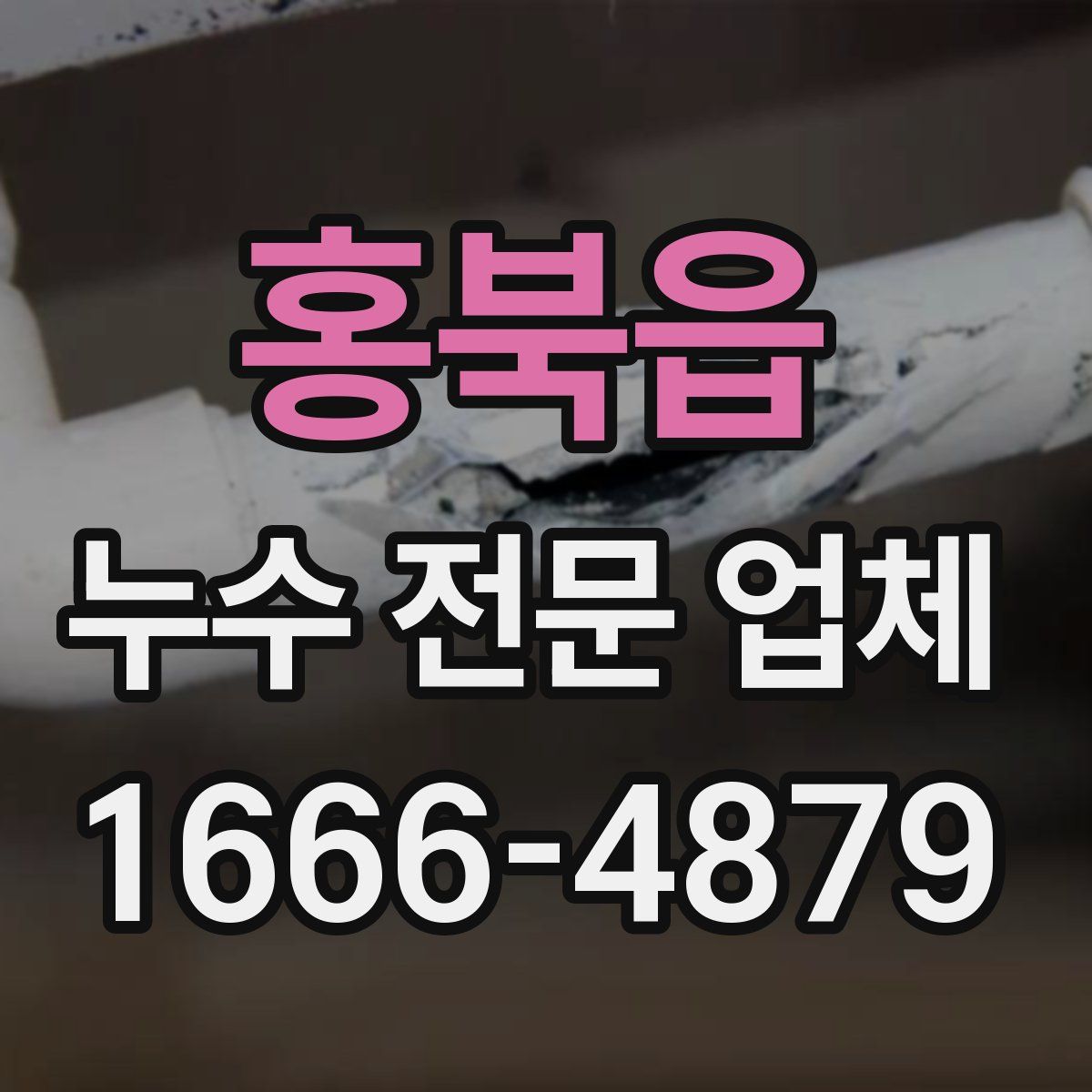 홍북읍 누수 전문 업체