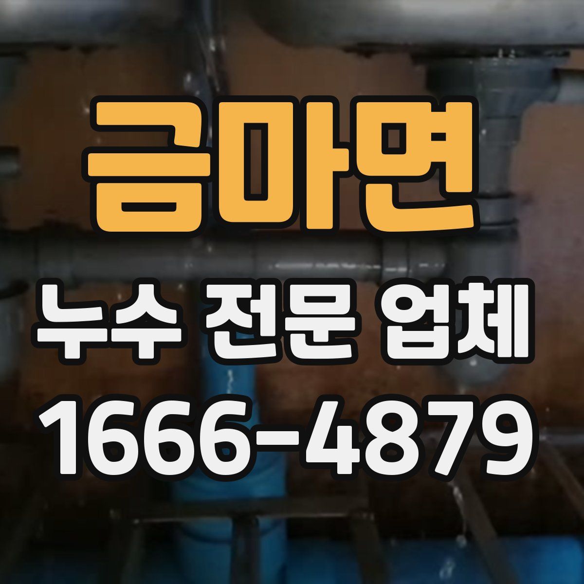 금마면 누수 전문 업체