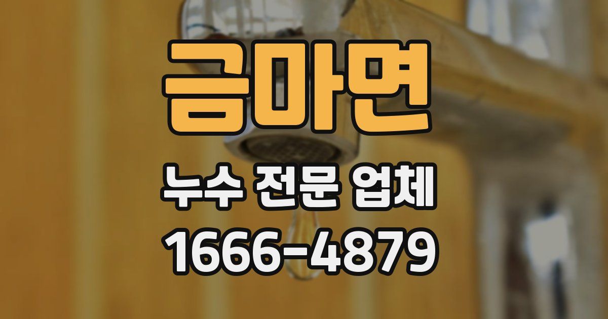 금마면 누수 전문 업체