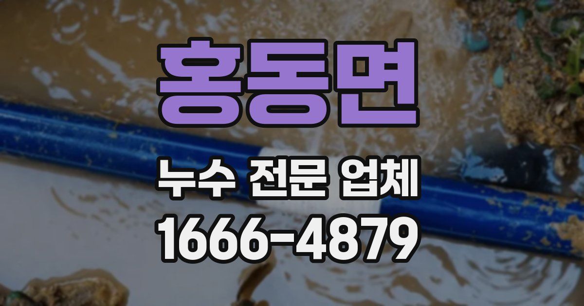 홍동면 누수 전문 업체