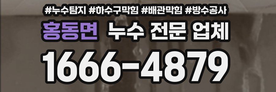 홍동면 누수 전문 업체