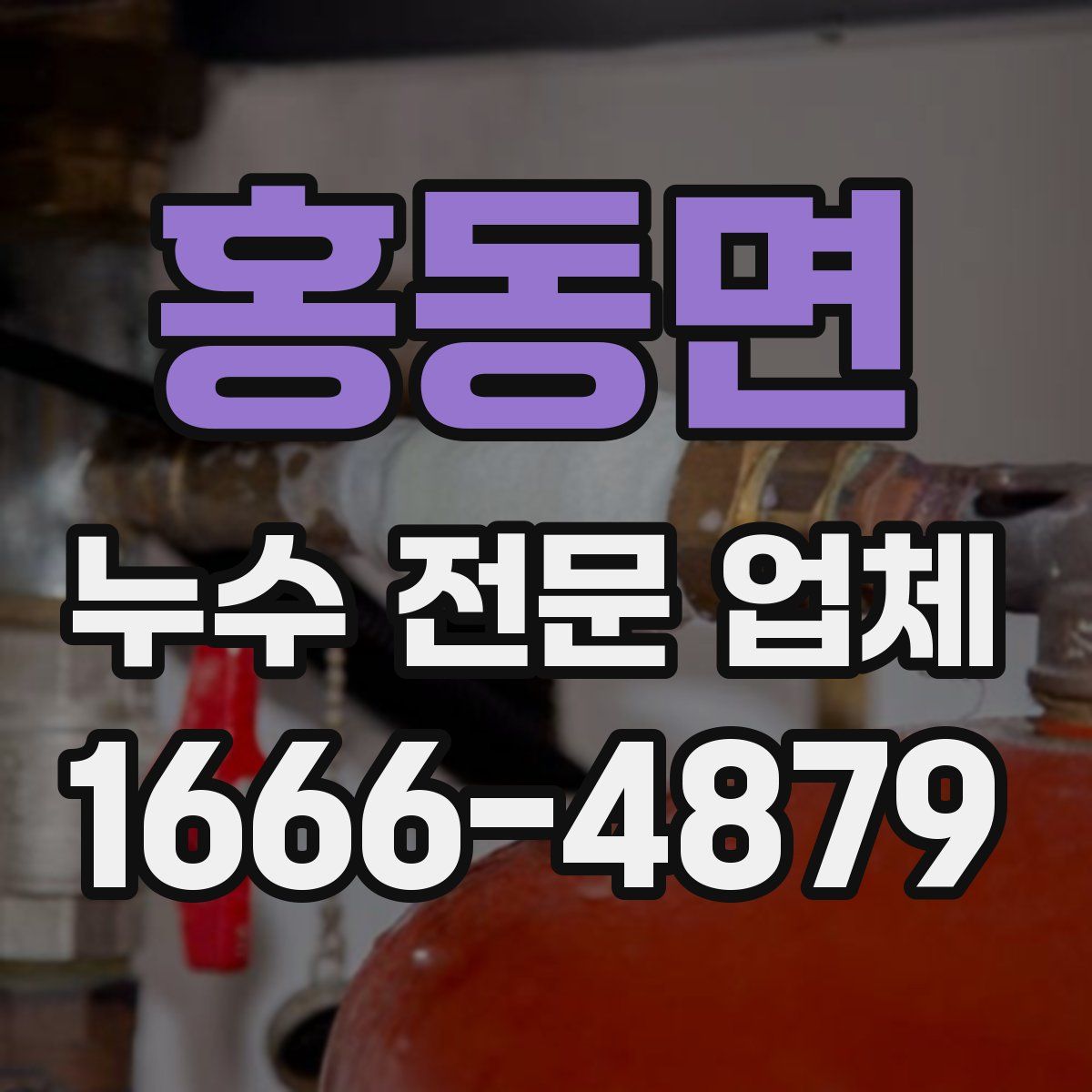 홍동면 누수 전문 업체