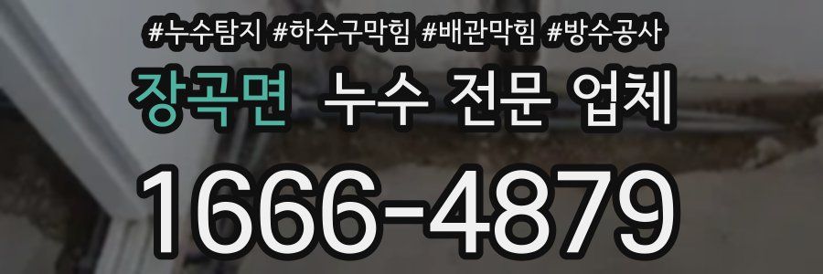 장곡면 누수 전문 업체