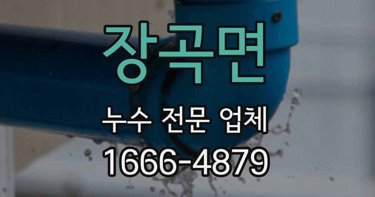 장곡면 누수 전문 업체