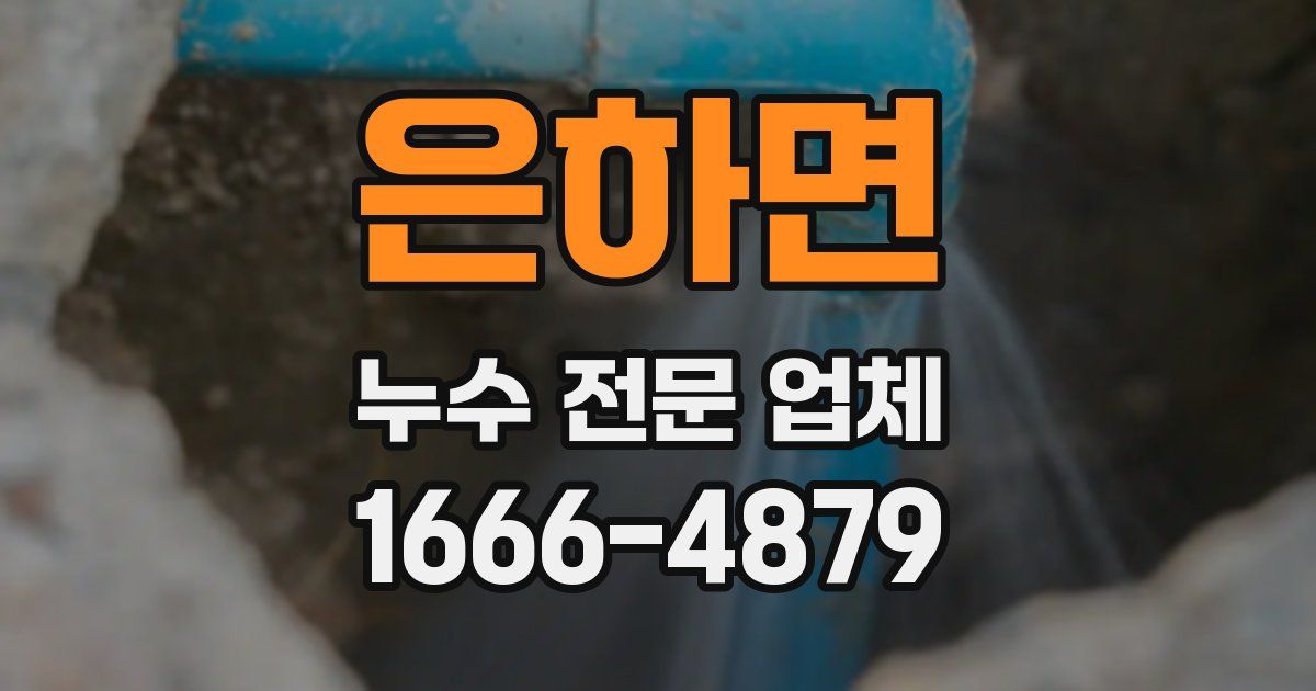 은하면 누수 전문 업체