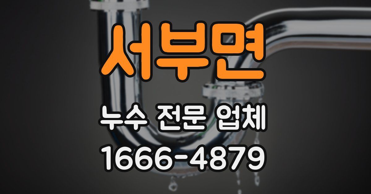 서부면 누수 전문 업체