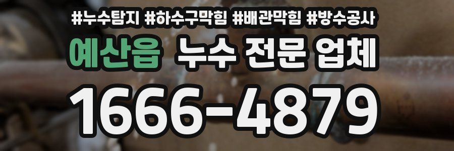 예산읍 누수 전문 업체