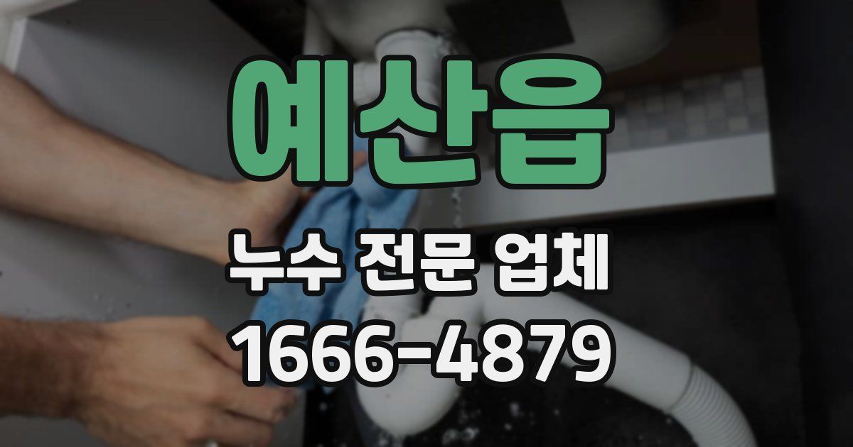 예산읍 누수 전문 업체