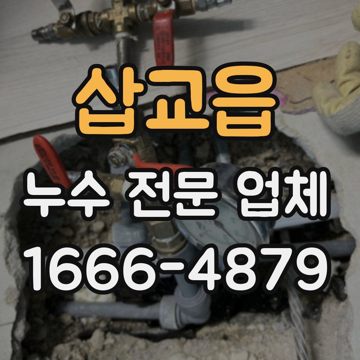 삽교읍 누수 전문 업체