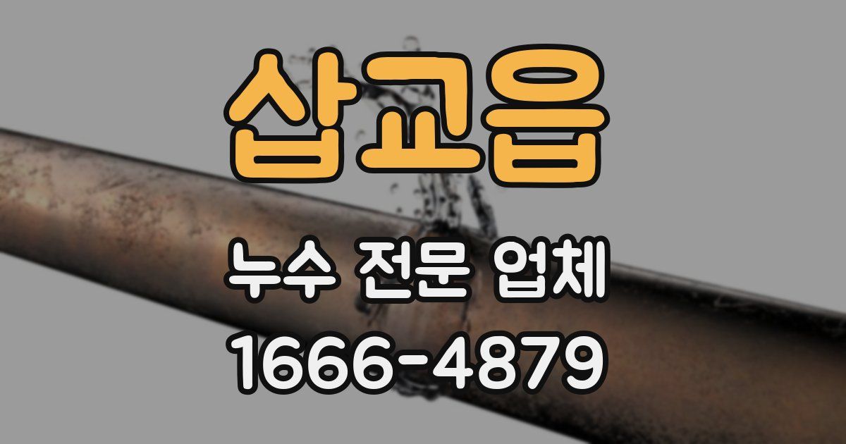 삽교읍 누수 전문 업체