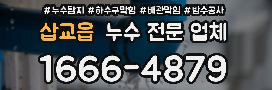삽교읍 누수 전문 업체