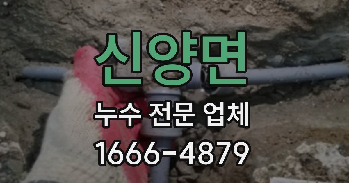 신양면 누수 전문 업체