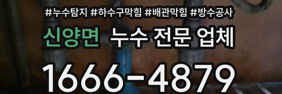 신양면 누수 전문 업체