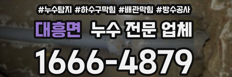 대흥면 누수 전문 업체