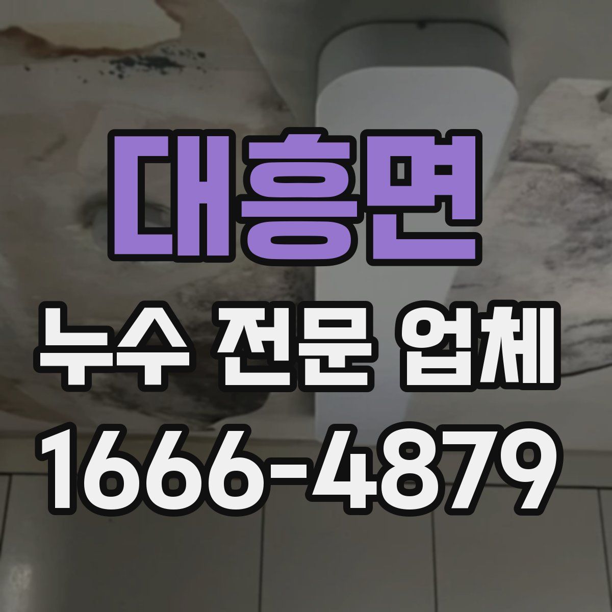 대흥면 누수 전문 업체