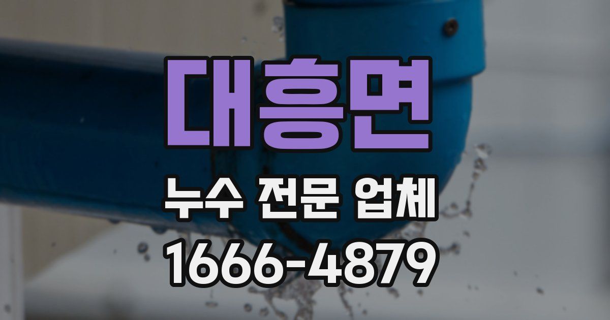 대흥면 누수 전문 업체