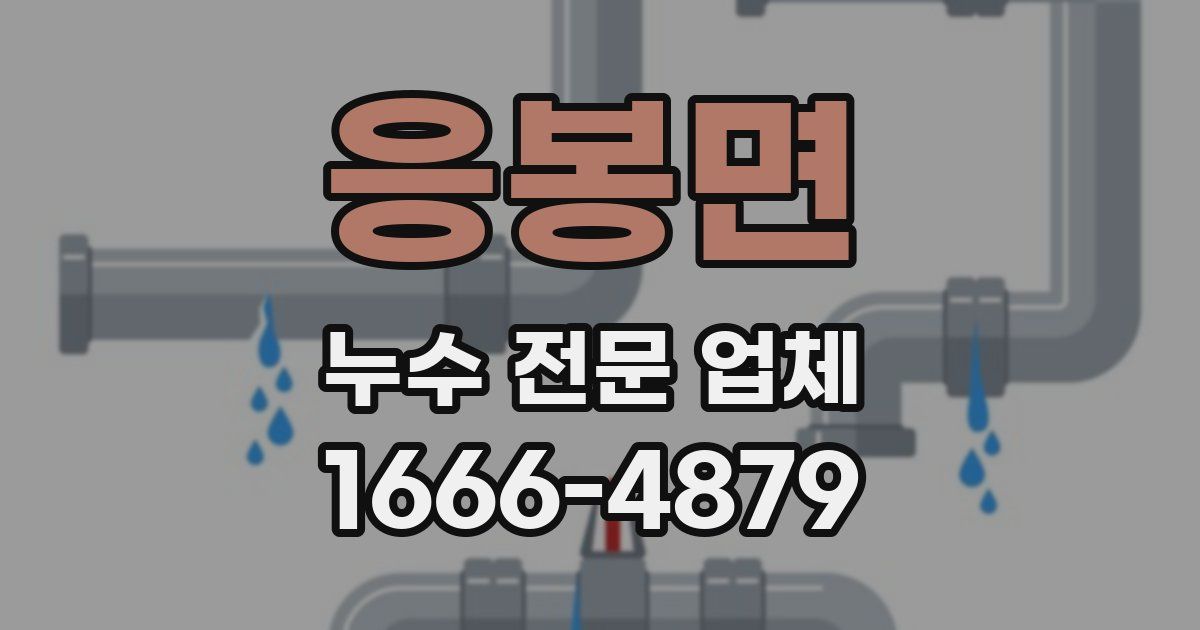 응봉면 누수 전문 업체