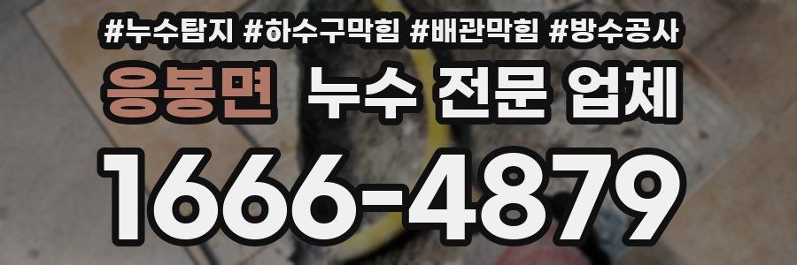 응봉면 누수 전문 업체