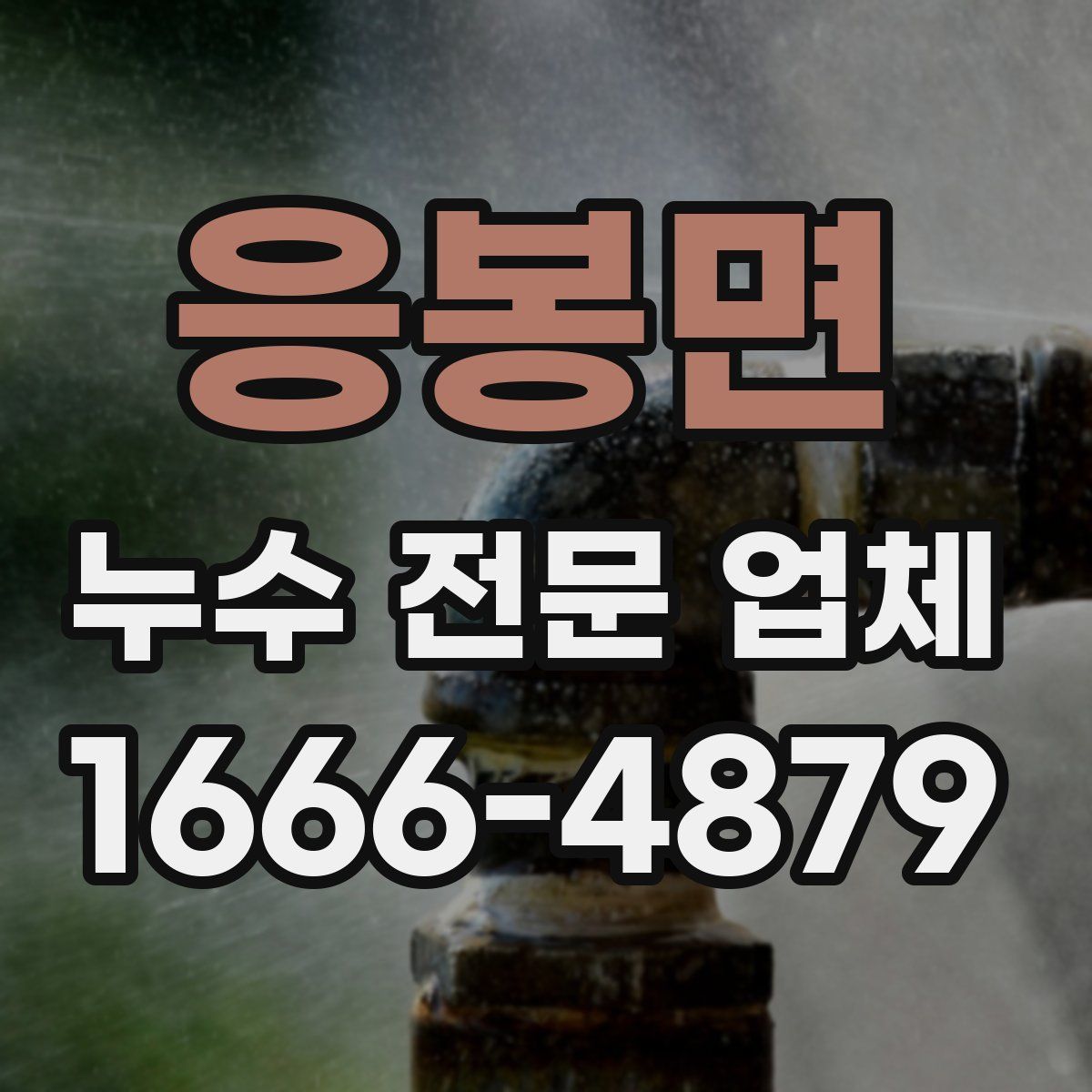 응봉면 누수 전문 업체