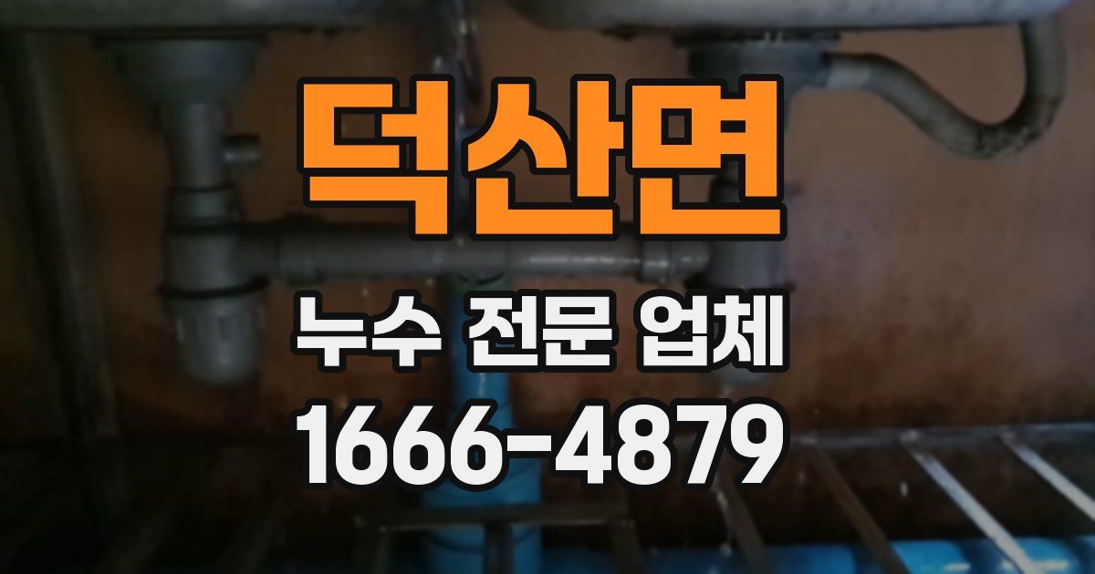 덕산면 누수 전문 업체