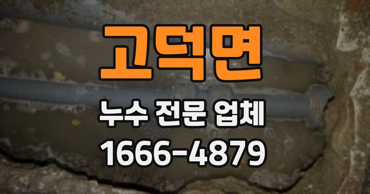 고덕면 누수 전문 업체