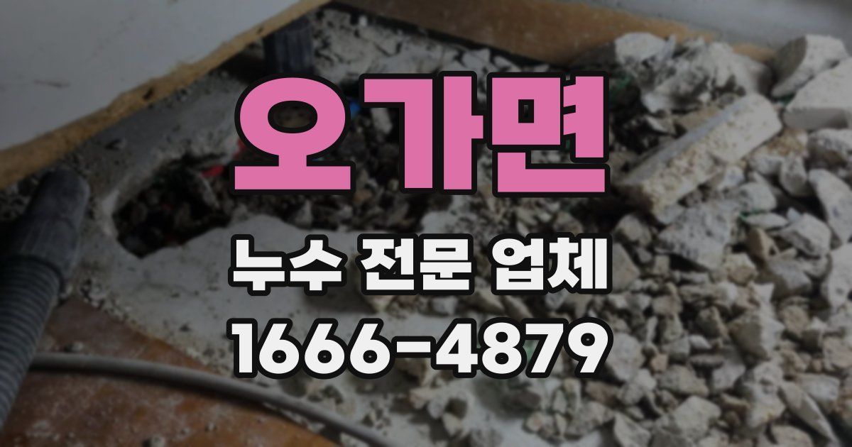 오가면 누수 전문 업체