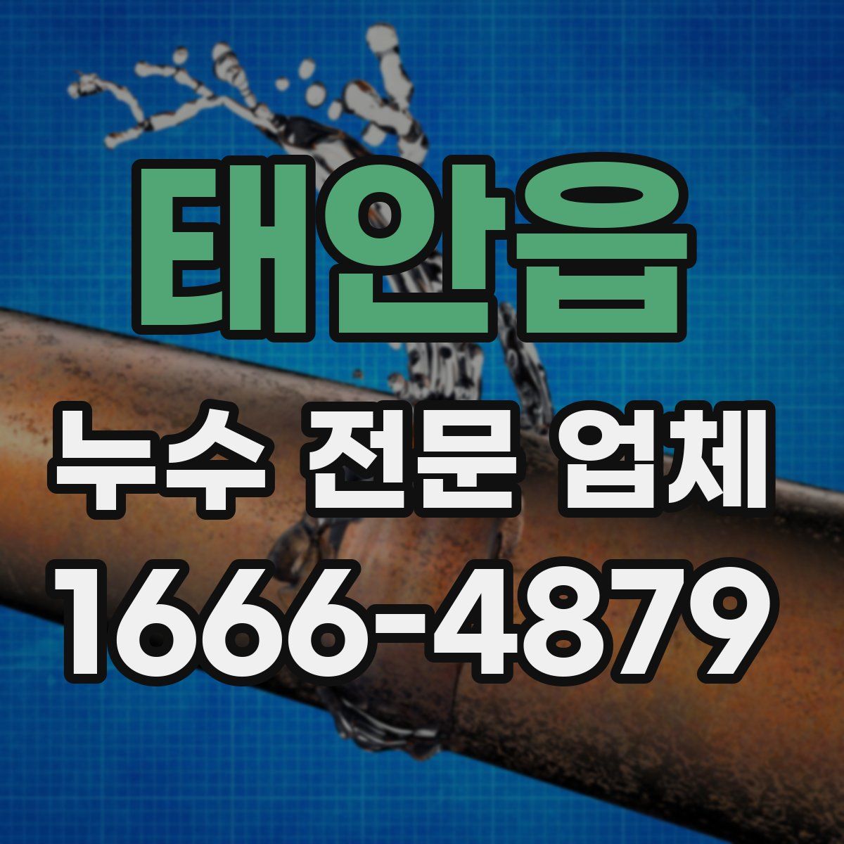태안읍 누수 전문 업체