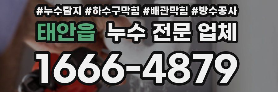 태안읍 누수 전문 업체