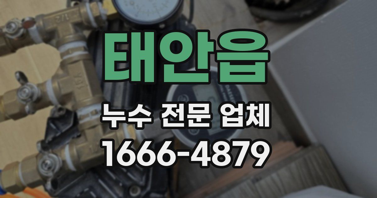 태안읍 누수 전문 업체