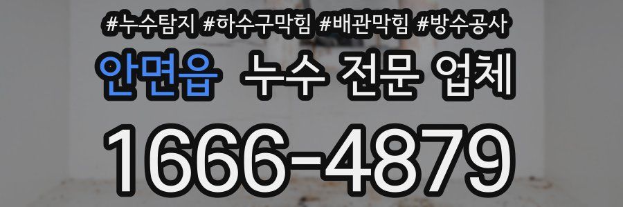 안면읍 누수 전문 업체