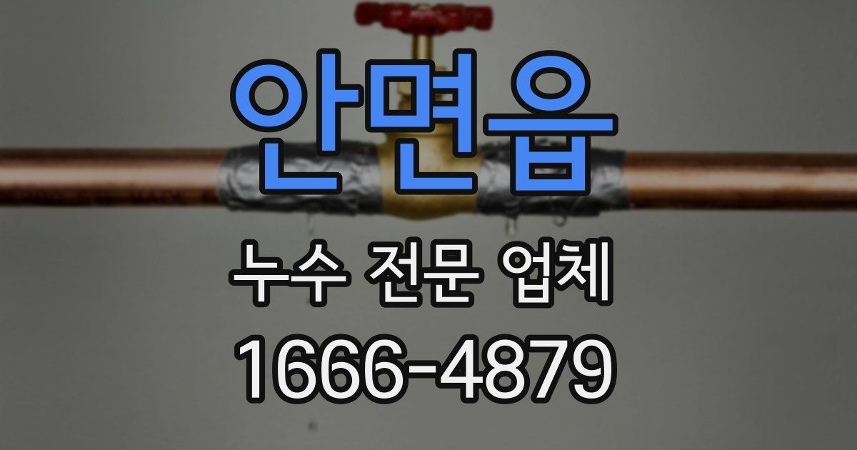 안면읍 누수 전문 업체
