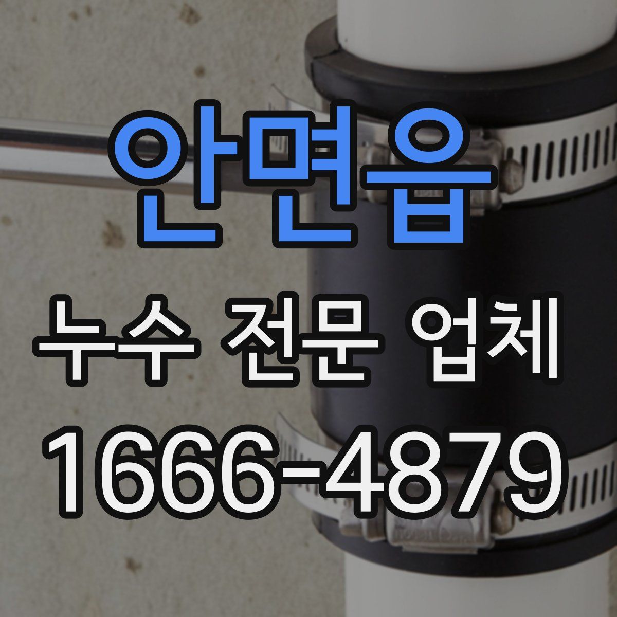 안면읍 누수 전문 업체
