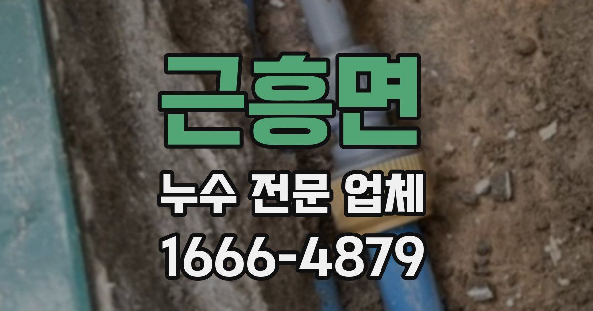 근흥면 누수 전문 업체