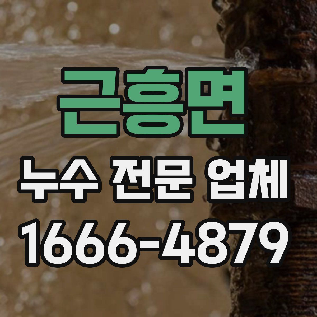 근흥면 누수 전문 업체