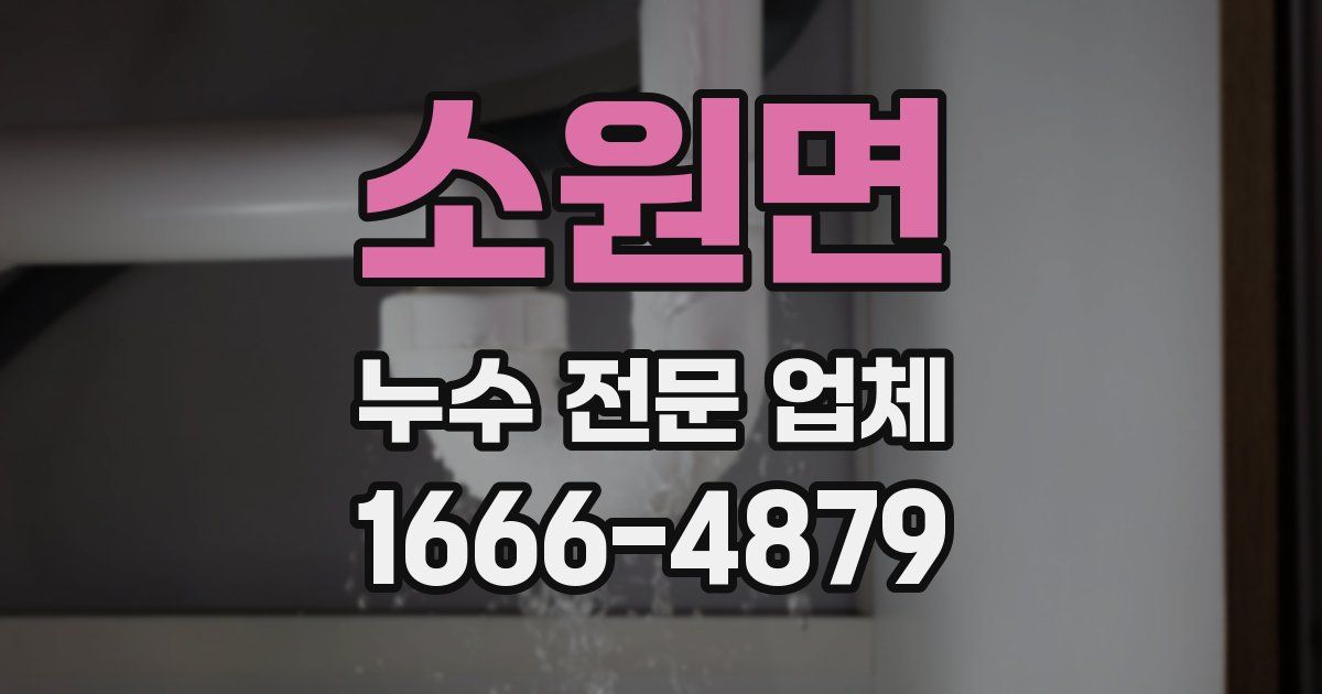 소원면 누수 전문 업체
