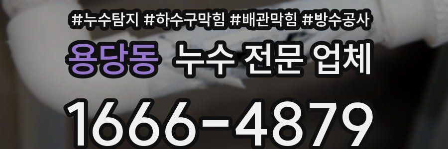 용당동 누수 전문 업체