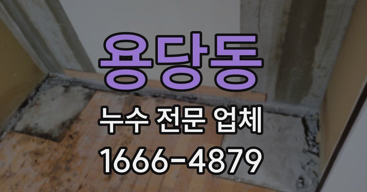 용당동 누수 전문 업체