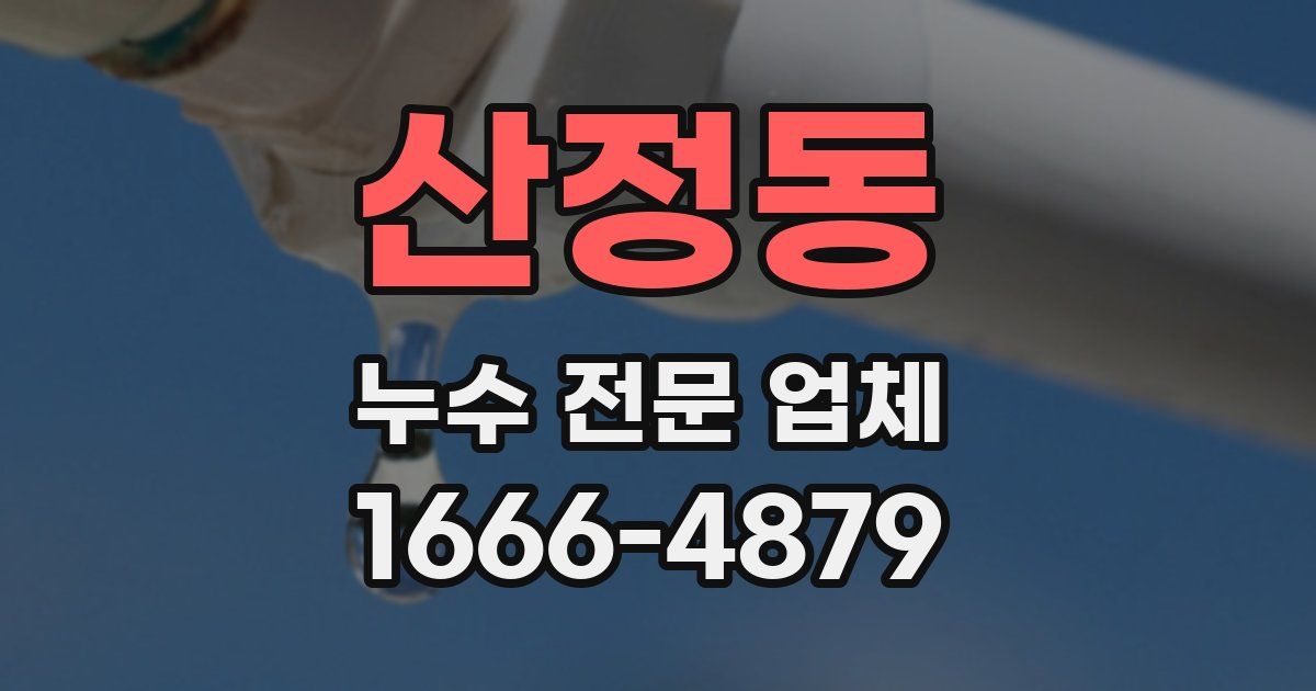 산정동 누수 전문 업체