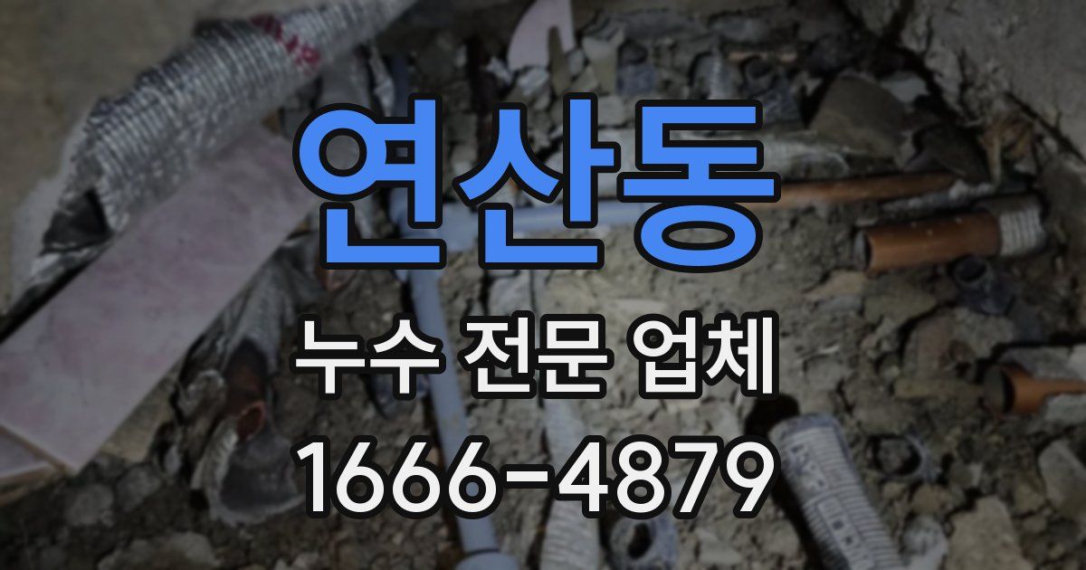 연산동 누수 전문 업체