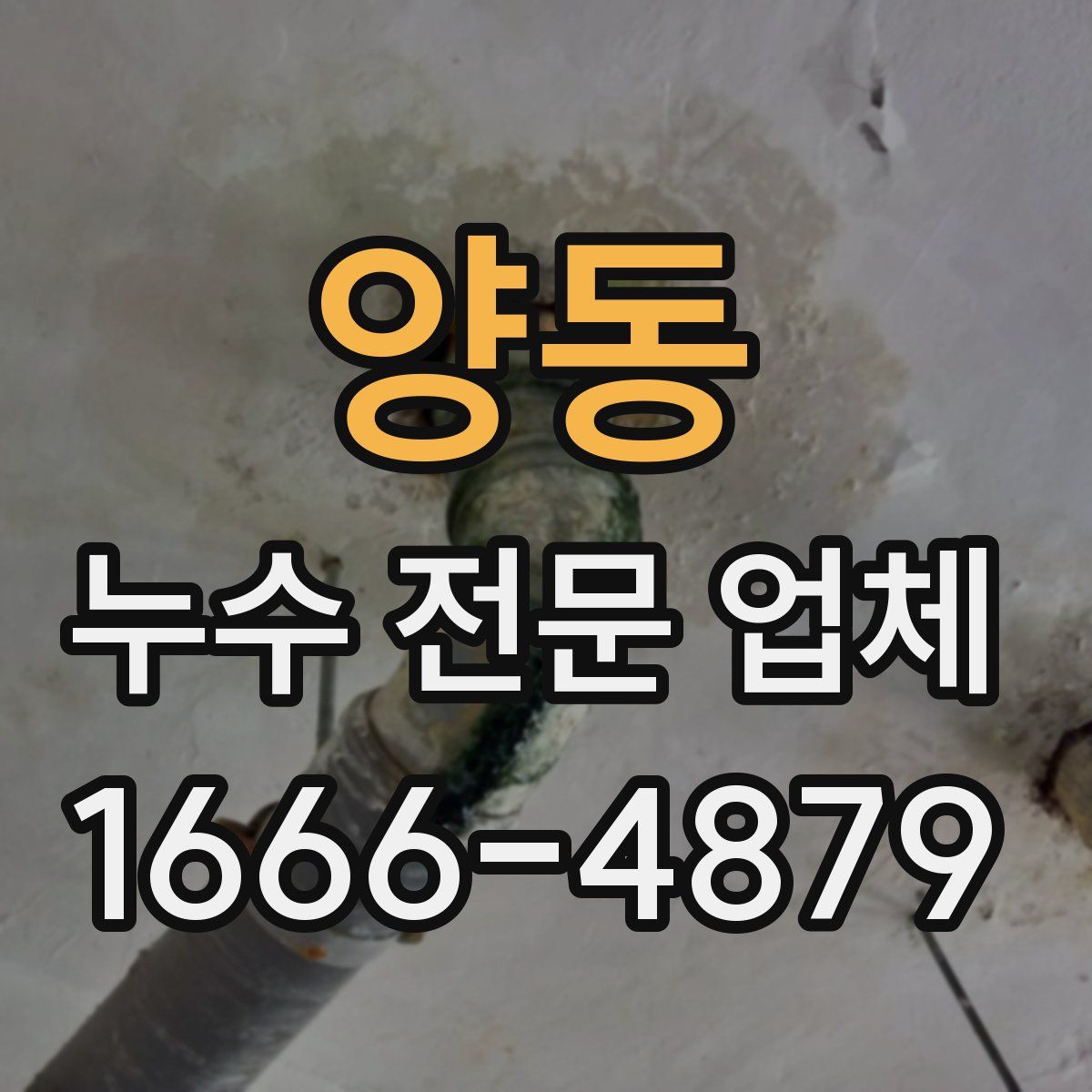 양동 누수 전문 업체